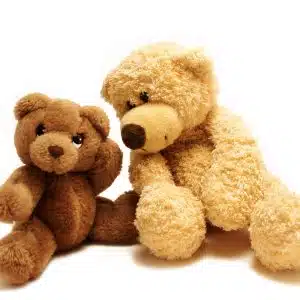 Wonderful Teddy Bear
