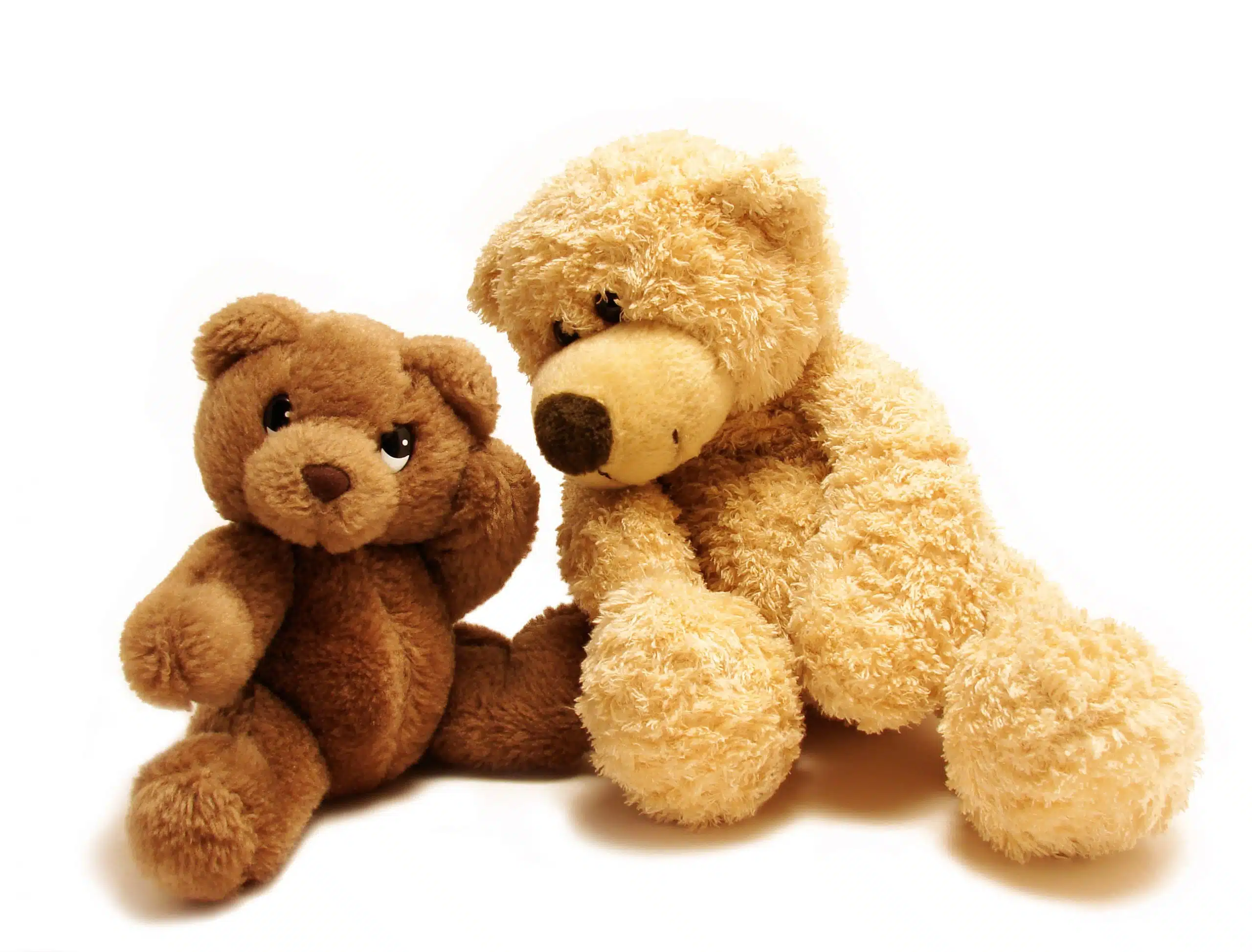 Wonderful Teddy Bear