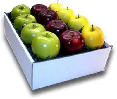Apple Snack Pak