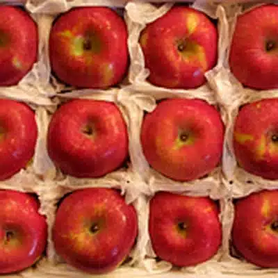 Fuji Apple Gift Box