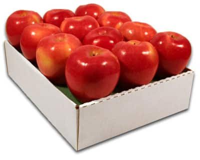 Rose Apple Pak
