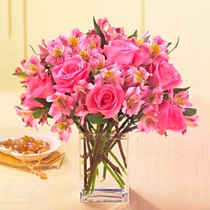 Dreamland Pink