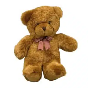Plush Teddy Bear