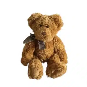 Traditional Teddy Bear