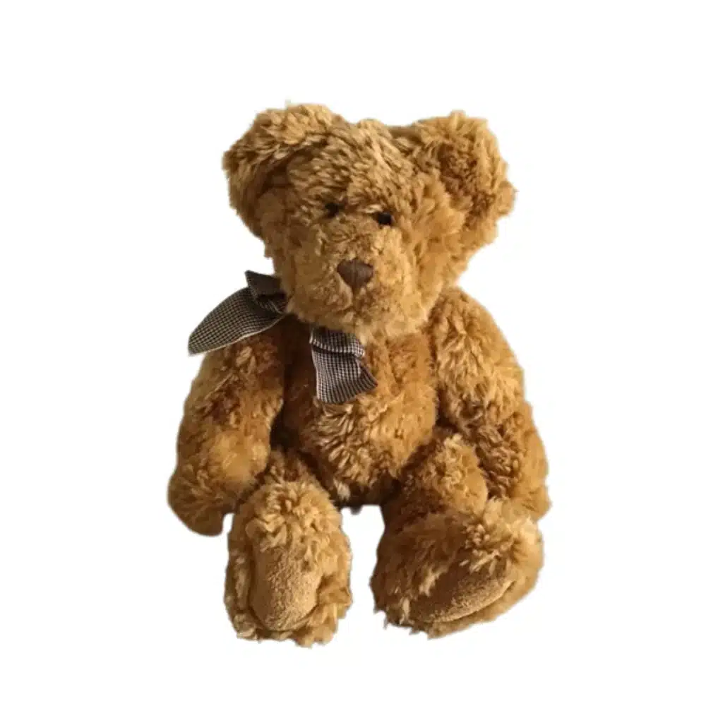 Traditional Teddy Bear