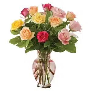 Romance Valentine Rose