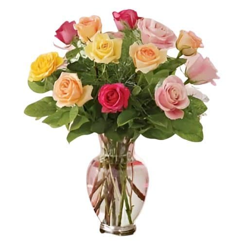 Romance Valentine Rose