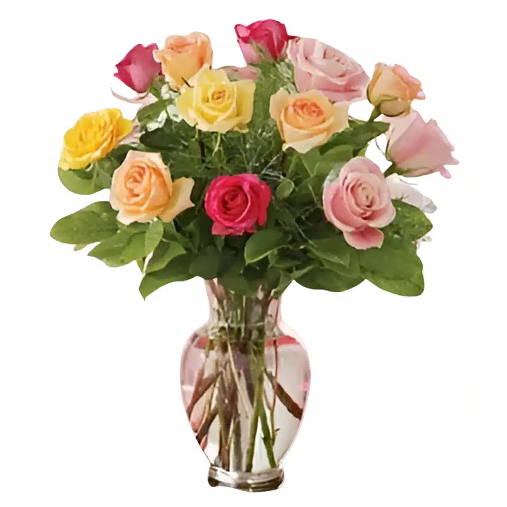 Romance Valentine Rose
