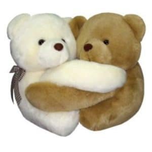 Hugging Bears