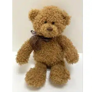 Fuzzy Teddy Bear