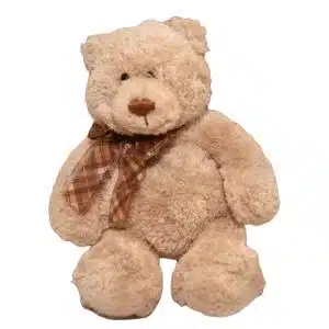 Cute Teddy Bear