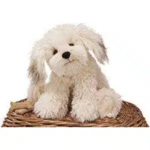 Fluffy Puppy