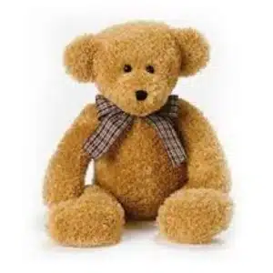 Shaggy Bear