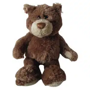 Great hugging bear