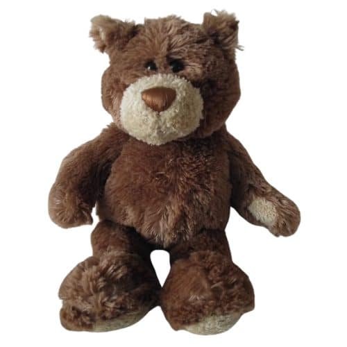 Great hugging bear