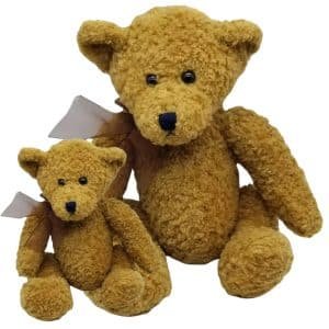 Twin teddy bear