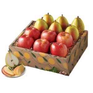 Apple n Pear Snack Pack