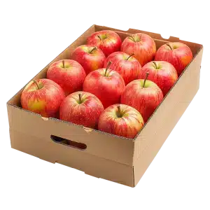 Apple Snack Pak