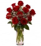 One Dozen  Stemmed  Red  Roses