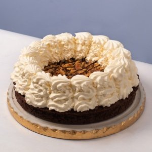 Turtle Pie