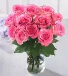 Pink Rose In A Clear Vase