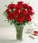 Premium Red Rose