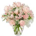 Light Colored Rose