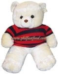 Giant Teddy with T-Shirt