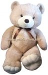 Giant Teddy Bear