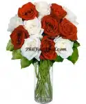 12 Red & White  Stem Roses
