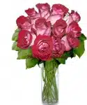 12 Fire and Ice Roses