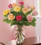 Multicolored Roses