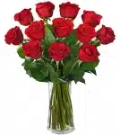 1 Dozen Premium Red Roses - VASE INCLUDED
