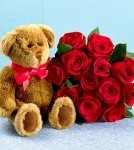 One Dozen Red Roses with Bear