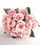 Vera Wang Truly Pink