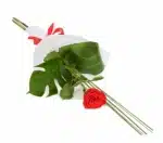 Gesture of Love