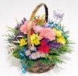Bright Flowers