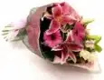 Beautiful Blooms