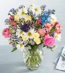 Exotic Flowers