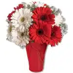 Bright Gerbera