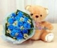 Beary Blue