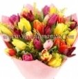 Bouquet Mixed Tulips