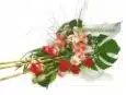 A Beautiful Bouquet