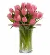 Pink Prelude Tulip