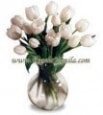 White Tulips