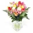 Vibrant Tulips