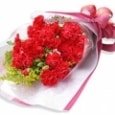 Brilliant carnation bouquet