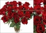 Red Blossoms