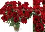 Red Blossoms