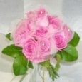 Pink Ecuadorian rose